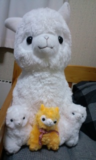(untitled)